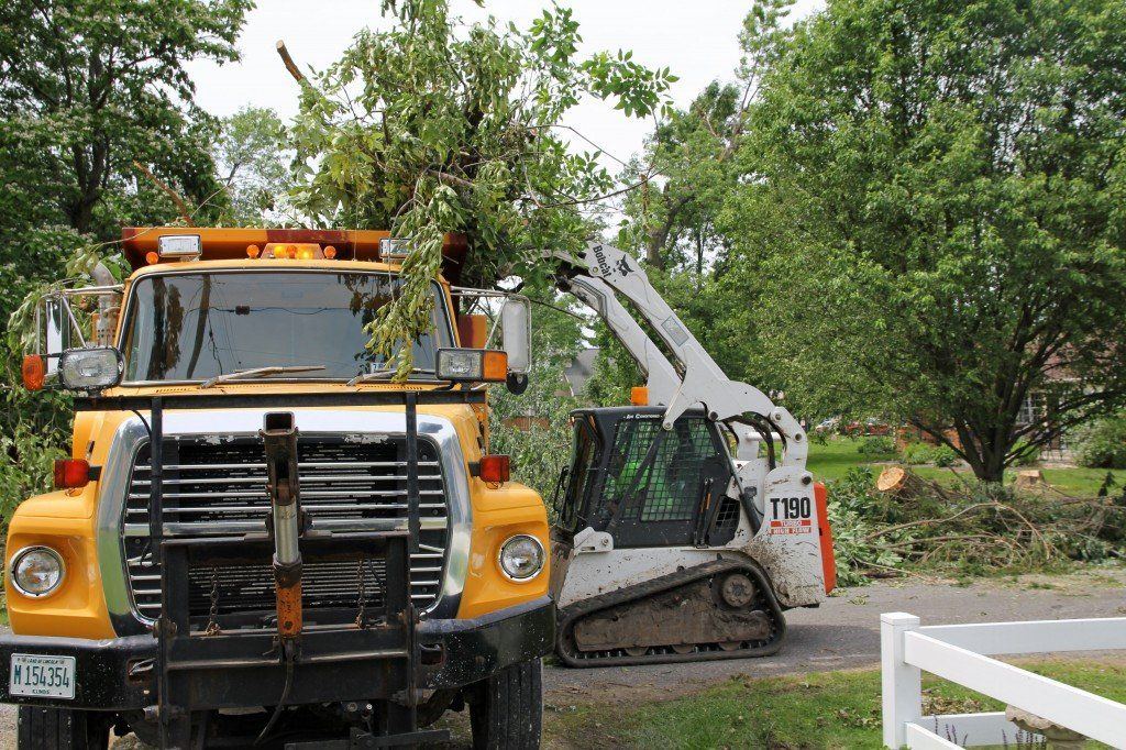 City maintenance crews and the street department work on cleaning limbs and debris off the side of the roadways early this past week.