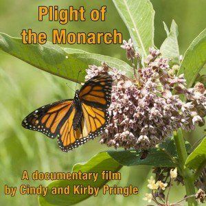 PLIGHT OF THE MONARCH