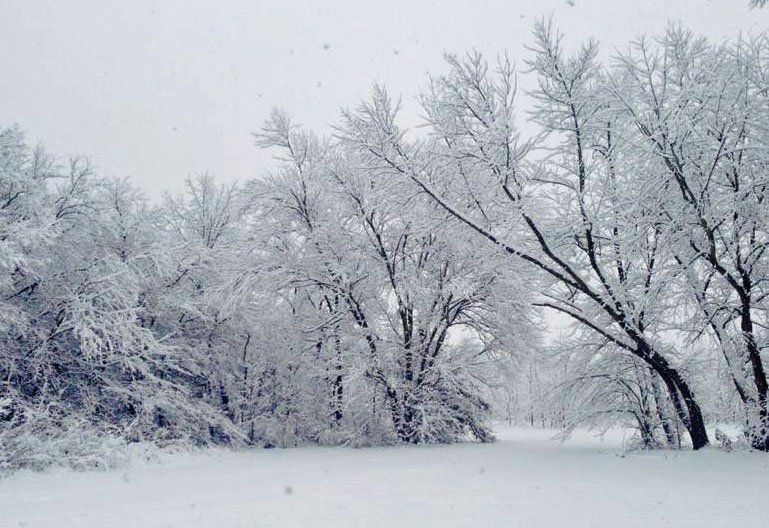 The Saturday morning view submitted by Jaimi Reid.