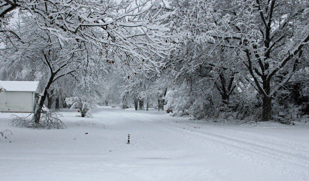 Residents in the BenGil area woke up Saturday morning to a blanket of snow. 