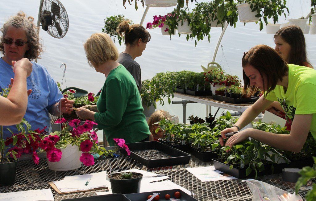 Horticulture students tend to the plants and assist citizens. 