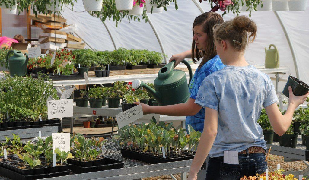 Horticulture students water plants.