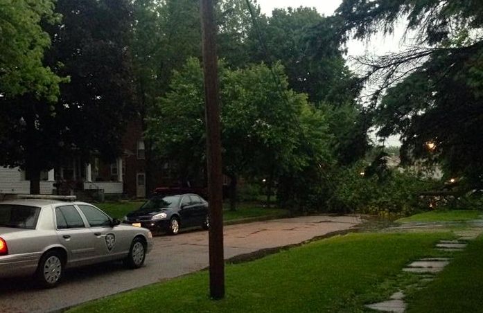Police respond to storm damage on Chestnut Street early Wednesday morning as a tree blocks the road and brings down communication lines as well. 